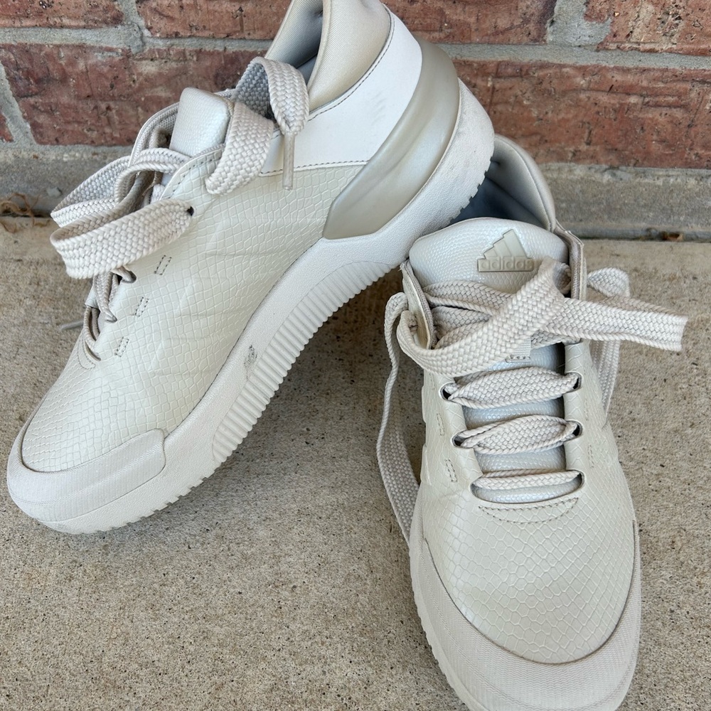 Adidas shoe